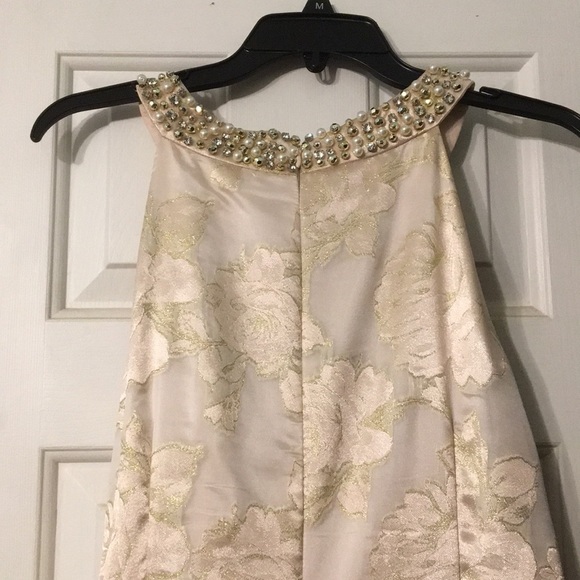 Champagne and Gold Prom Dress - Picture 3 of 4